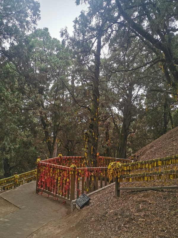 เหยียนอัน หนึ่งในเมืองที่มีชื่อเสียงที่สุดบนที่ราบสูงดินเหลือง_fororder_延安5