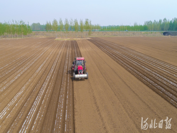 唐山遷西：調整産業結構 特色農業種植面積達3.9萬畝