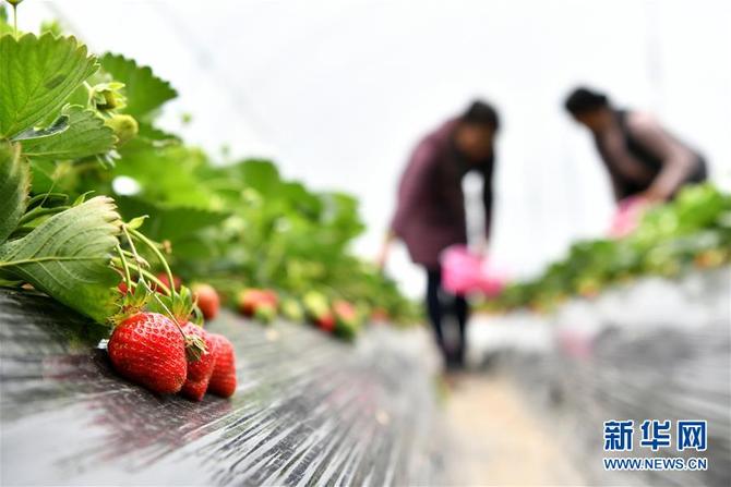 图片默认标题_fororder_1124494176_15578588970371n