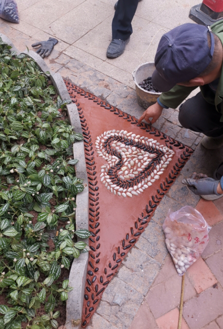 【金科服务中部区域公司供稿】【房产资讯】不负业主联名邀请 金科服务30天焕新“老”小区