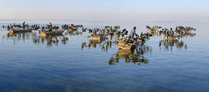 会声课堂冯小龙老师：播音配音行业正在迎来一个光明的前景