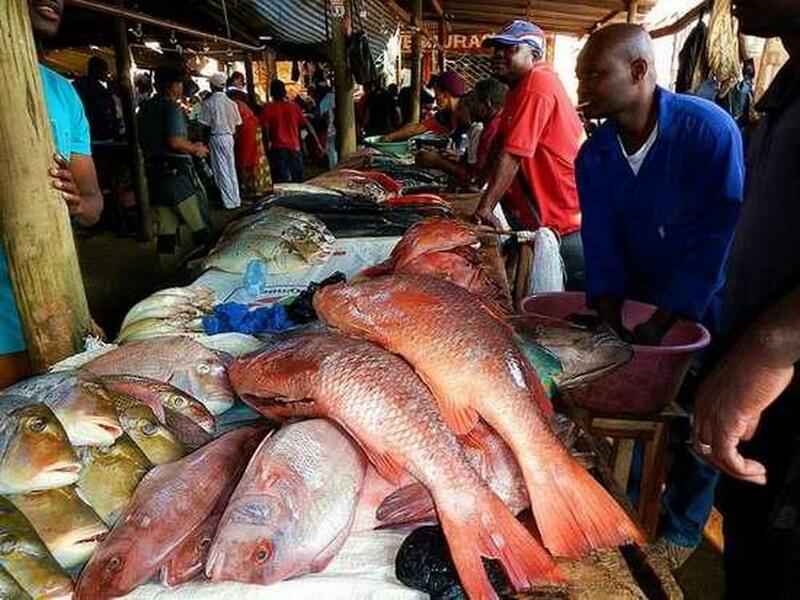 Cinikayyar amfanin gona tsakanin Sin da Afirka ta samu damar neman karin ci gaba_fororder_210425-sharhi-Sanusi-hoto2