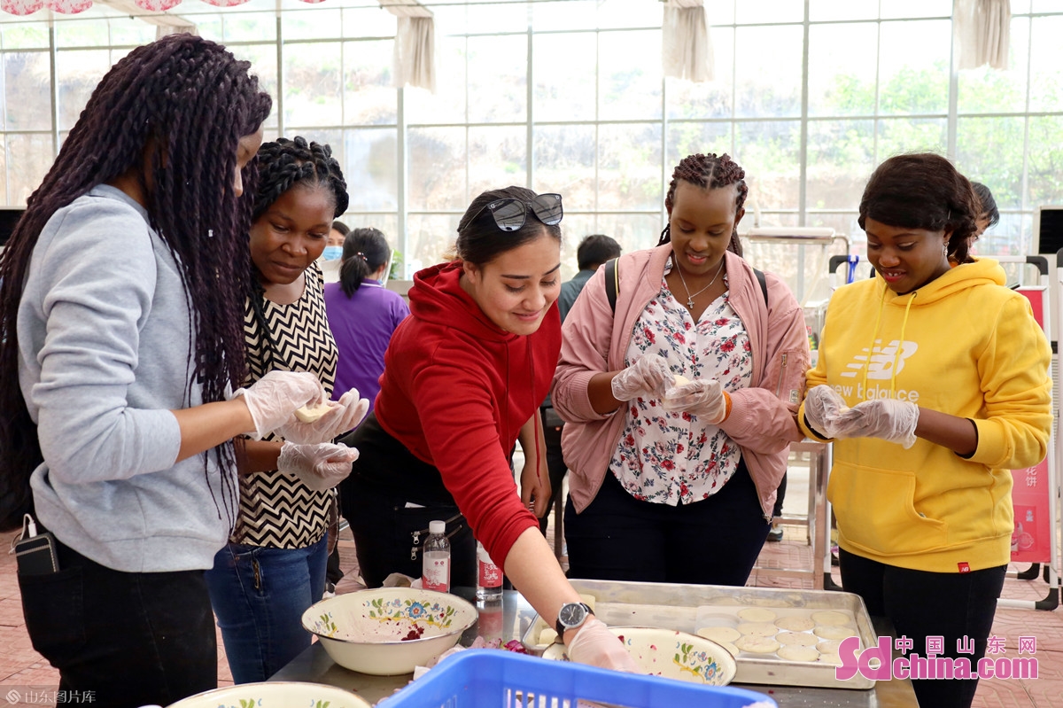 手制鲜花饼 流连芳菲丛 外国友人打卡“中国玫瑰之都”