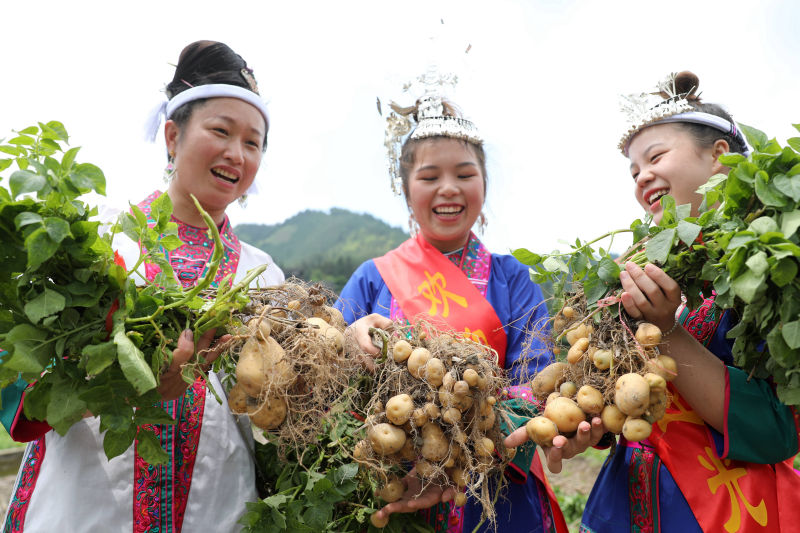 廣西：侗寨歡慶土豆節