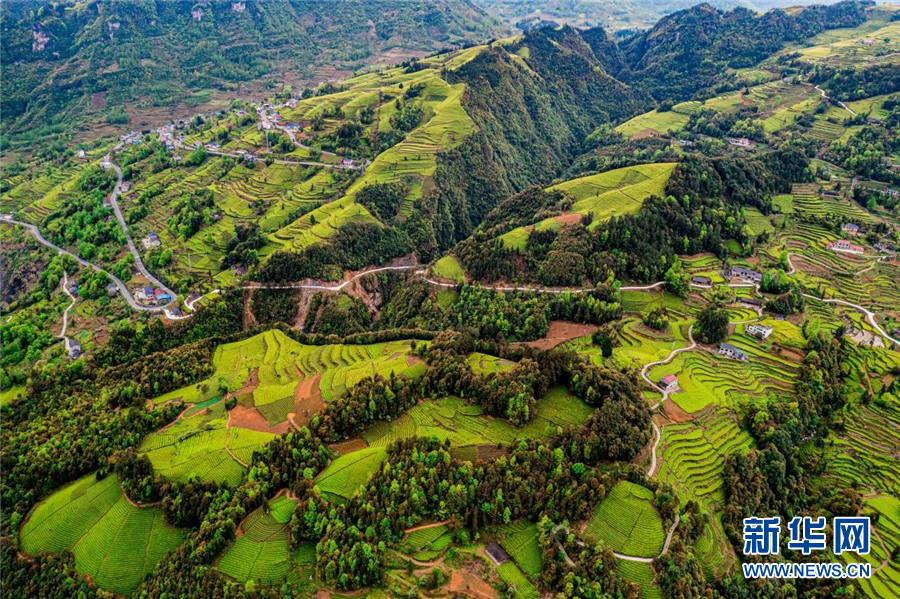 鄂西山区梯田景观独具特色