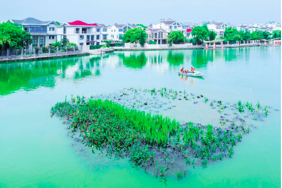 武汉南湖片区海绵城市项目抓紧施工_fororder_sc_20210426100655