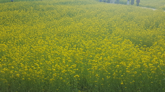 图片默认标题_fororder_20200325_163111