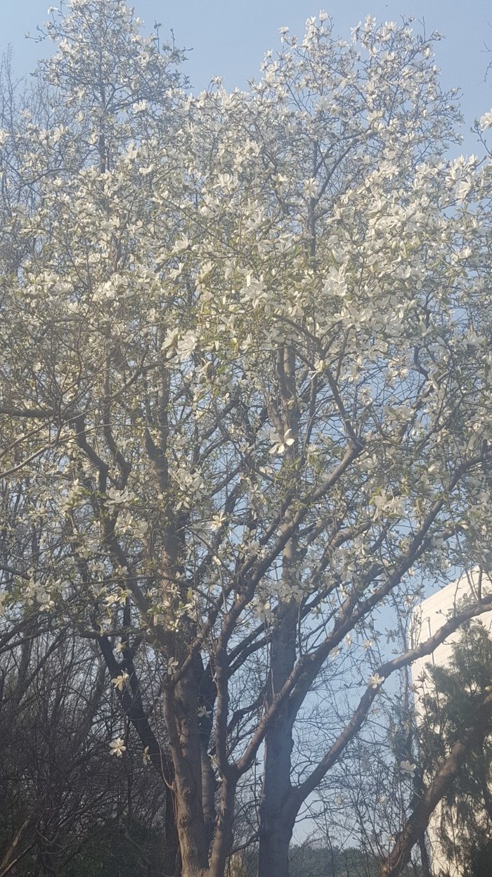 图片默认标题_fororder_20200325_163234