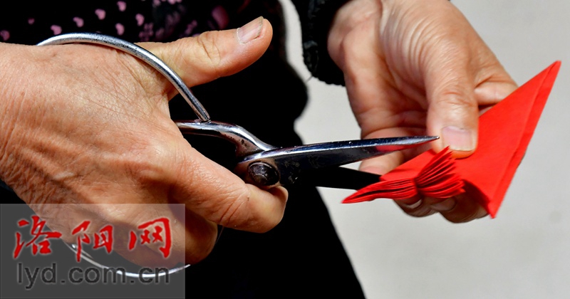 洛阳退休教师用小剪刀“剪”出大世界