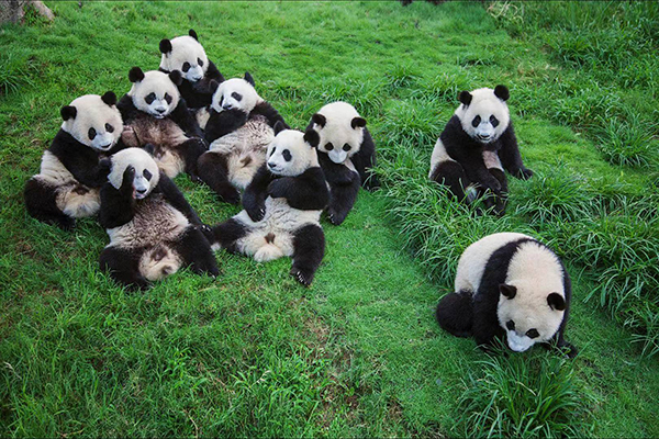 成都成华区6大景点入列“2020四川最受网民喜爱的网红打卡地”_fororder_微信图片_20210426163051