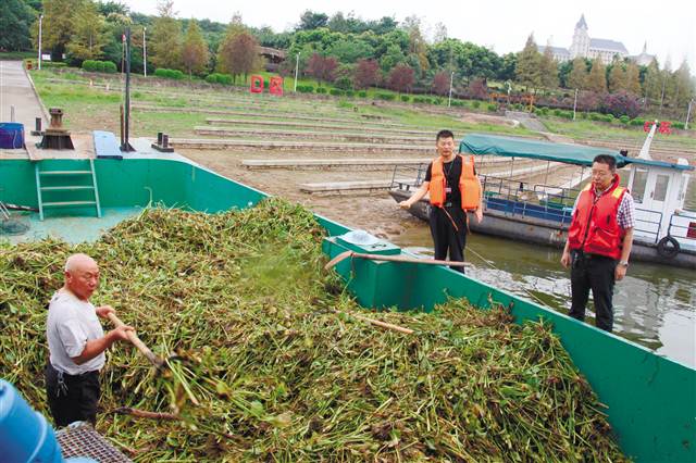 【區縣聯動】【長壽】長壽全面推行河長制,打造“會呼吸的河流”【區縣聯動 二級介面】長壽推行河長制,打造“會呼吸的河流” 【區縣聯動】【長壽】長壽全面推行河長制,打造“會呼吸的河流”【區縣聯動 二級介面】長壽推行河長制,打造“會呼吸的河流”