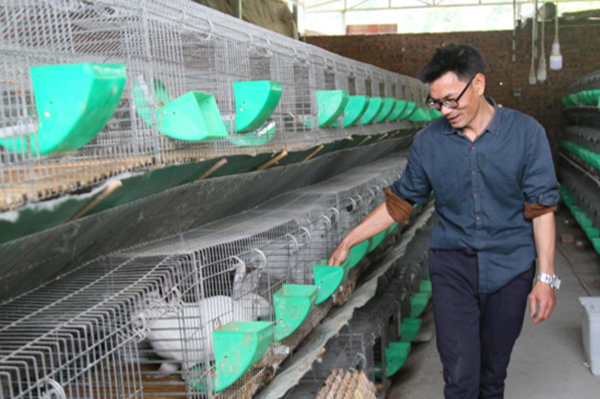 “遂宁市脱贫榜样”陈平：党的关怀脱贫致富 回报社会谢党恩_fororder_陈平带动村民胡兵养殖兔子脱贫致富（摄影-叶林）