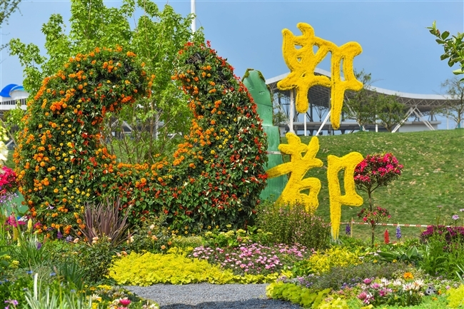 （转载）1.5万平方米！“五一”成都花展来了 免费开放