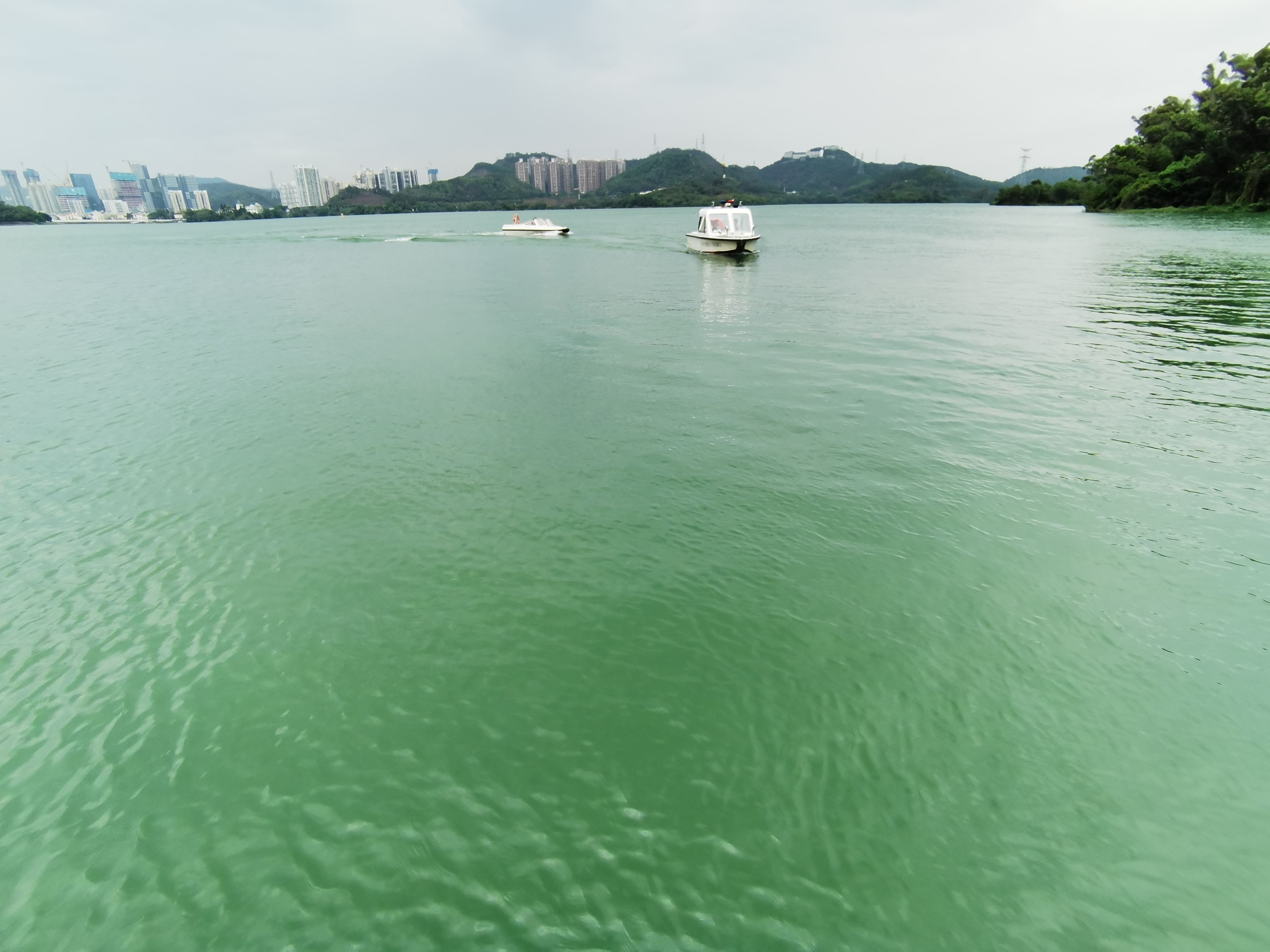 用忠诚与大爱托起香港"生命之源"