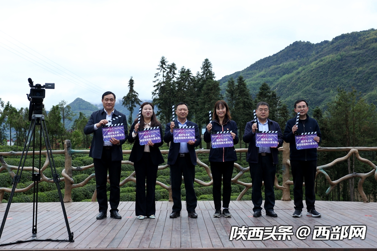 第二屆陜西網上茶博會開幕 首推鎮巴高山有機富硒茶