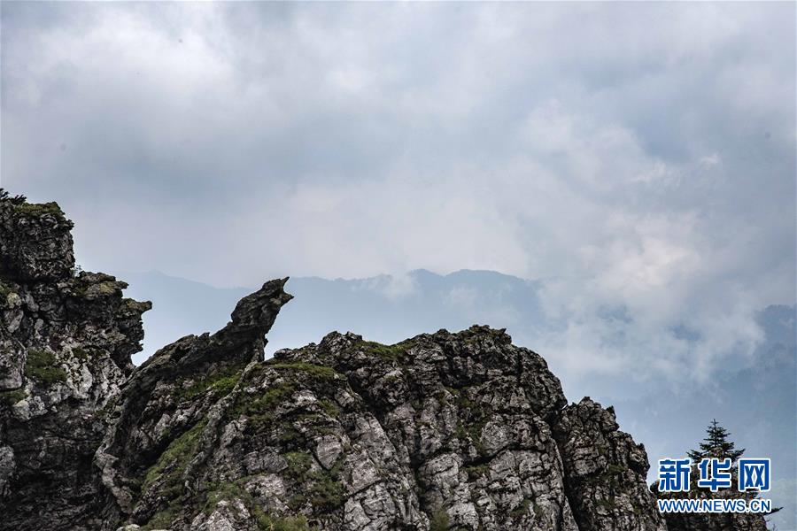 神农架国家公园:从开山伐木到全面保护