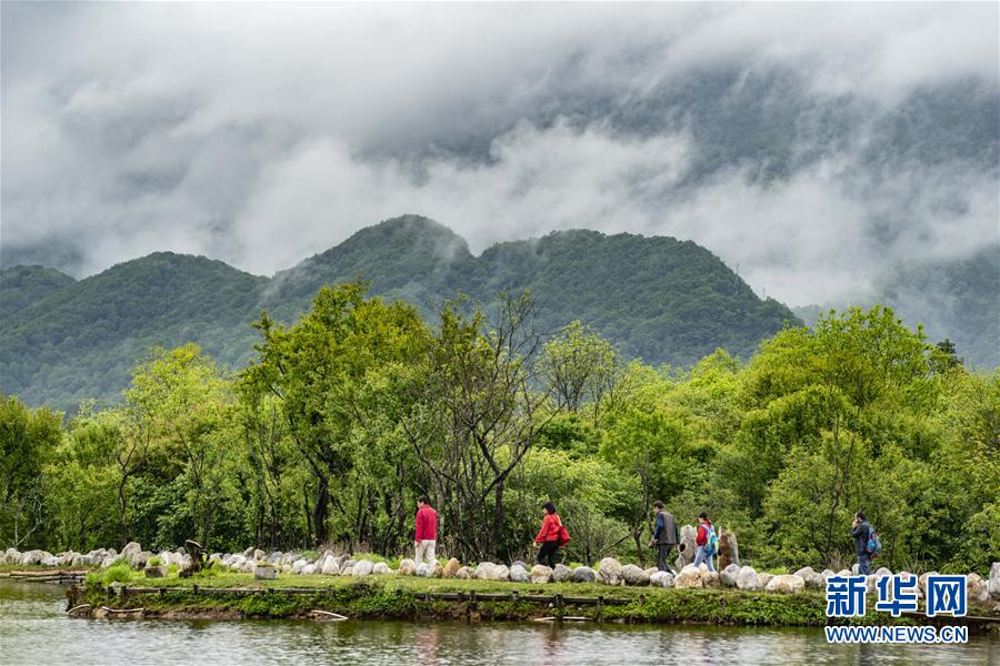 神农架国家公园:从开山伐木到全面保护