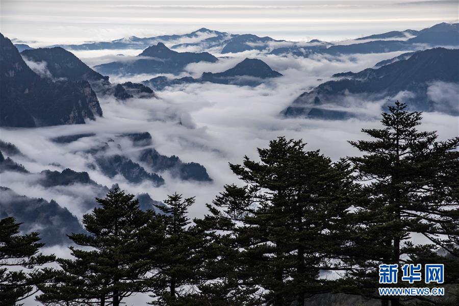 神农架国家公园:从开山伐木到全面保护