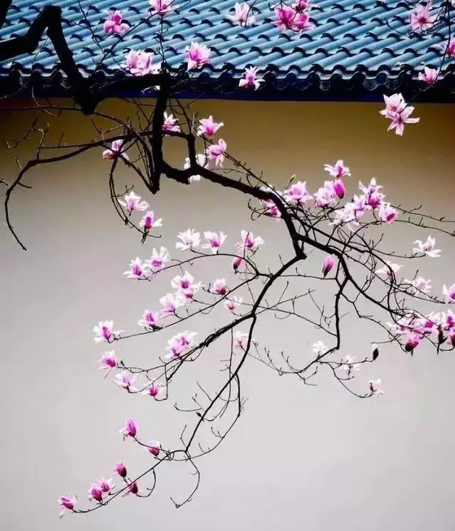 曾經驚艷世界的中國民宅