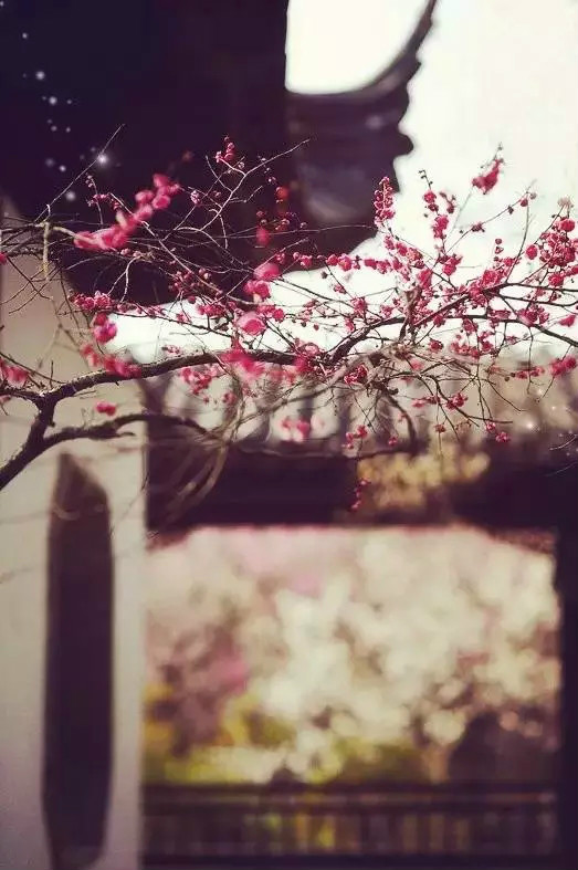 曾經驚艷世界的中國民宅