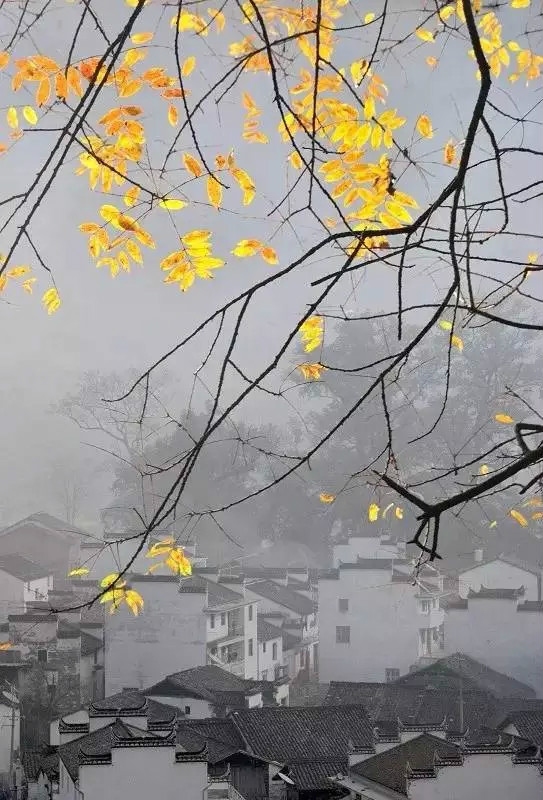 曾經驚艷世界的中國民宅