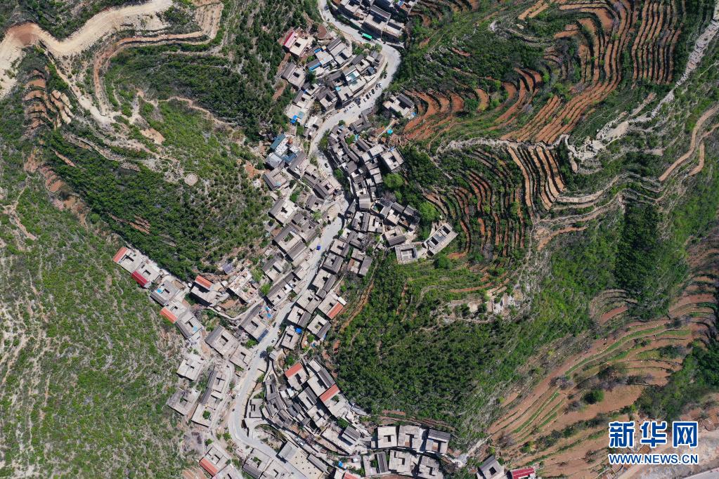 圖片默認標題_fororder_2