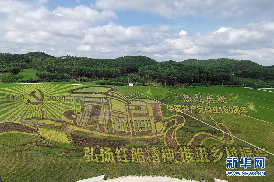 广西宾阳：创意稻田画带动乡村旅游