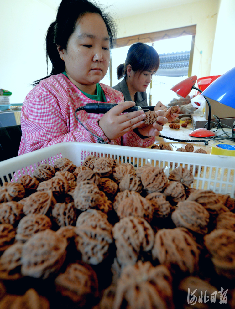 河北淶水：特色産業 助民致富