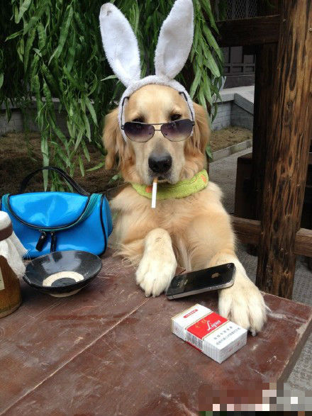 孙茜晒“横店一姐”美照  拍戏空余也爱狗