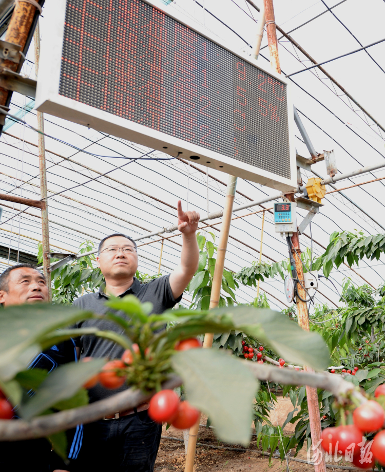 河北秦皇岛: 发展智慧农业