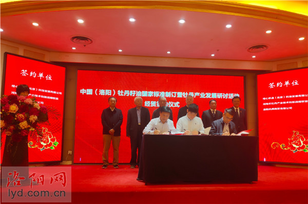 牡丹产业领域专家学者齐聚洛阳 只为这件事儿……