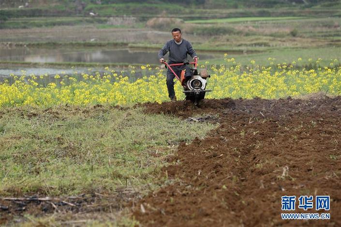 （中首）贵州：春日劳作忙