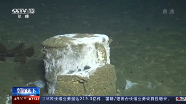 美国南加州海底惊现2万多桶状物 疑含杀虫剂的工业废料