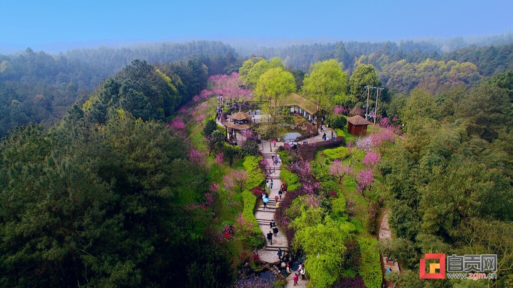 （转载）【魅力盐都·安逸灯城】五一怎么玩？来夜游王炸出游地，还有一份自贡景区推荐！