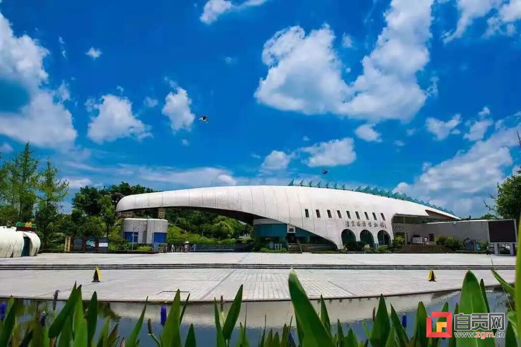 （转载）【魅力盐都·安逸灯城】五一怎么玩？来夜游王炸出游地，还有一份自贡景区推荐！