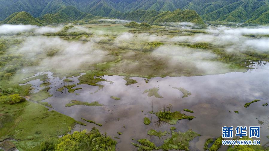 醉美神农架大九湖