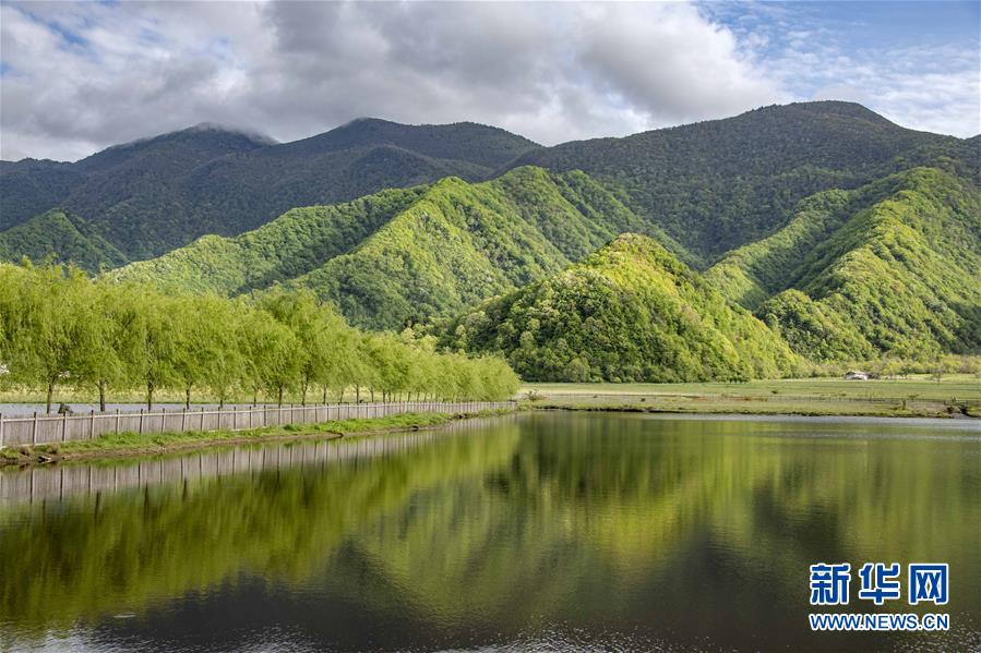 醉美神农架大九湖