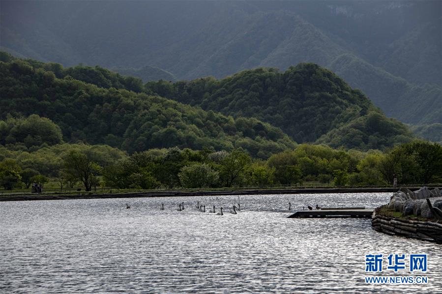 醉美神农架大九湖