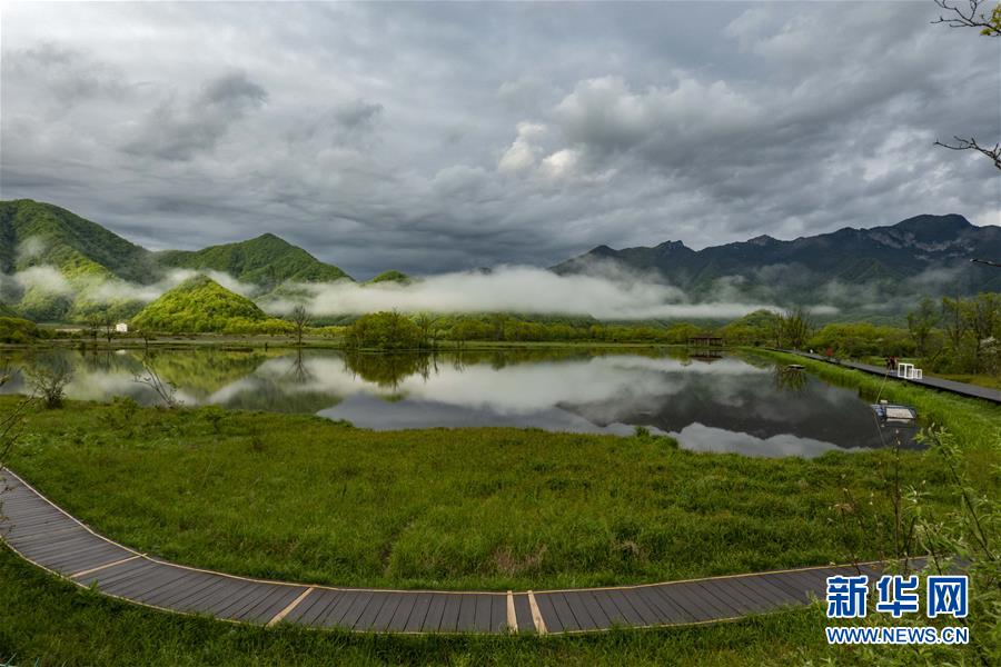 醉美神农架大九湖