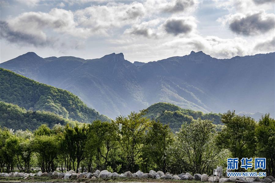 醉美神农架大九湖
