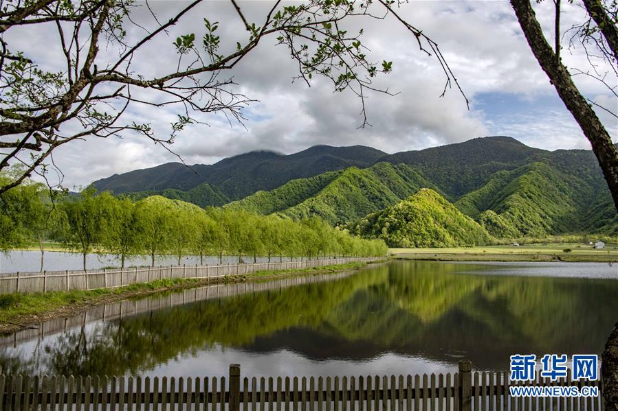 醉美神农架大九湖