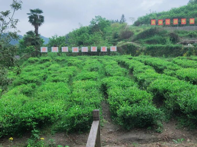 比“糍粑越打越甜”更甜的，是井岡山神山村的笑容