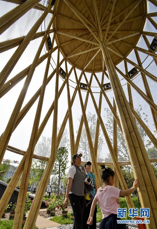 北京世园会迎来国际竹藤组织荣誉日