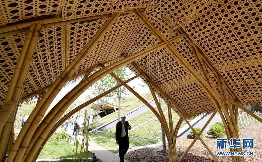 北京世园会迎来国际竹藤组织荣誉日