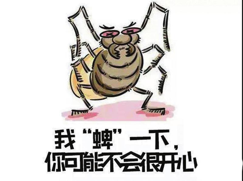 春夏出游 谨防蜱虫