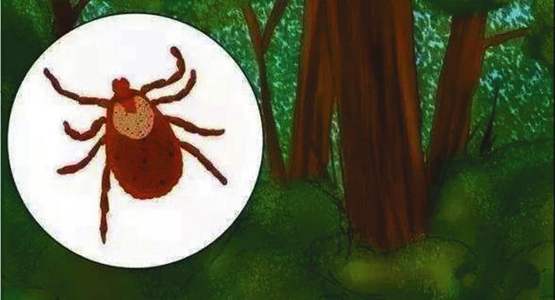 春夏出游 谨防蜱虫