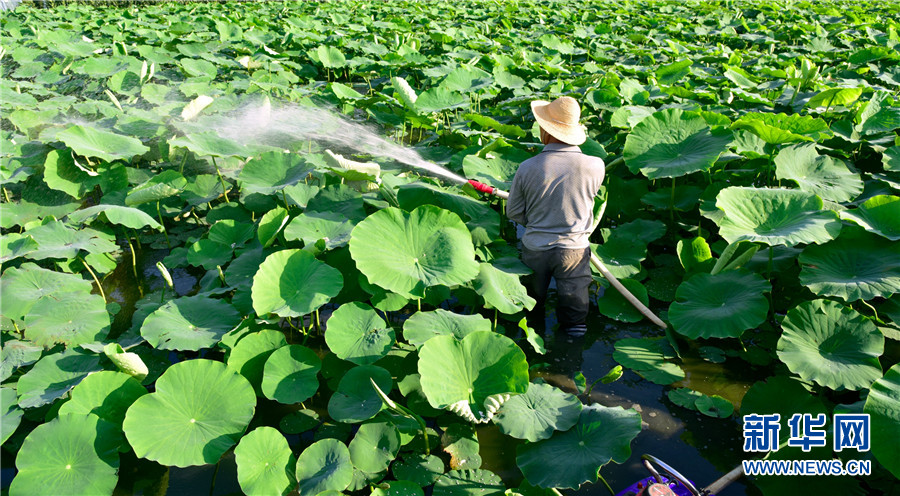 云南弥勒：人鸟和谐共家园