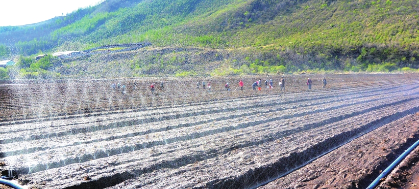 執“綠色”巨筆 繪生態畫卷——白山市建設中國綠色有機谷·長白山森林食藥城素描