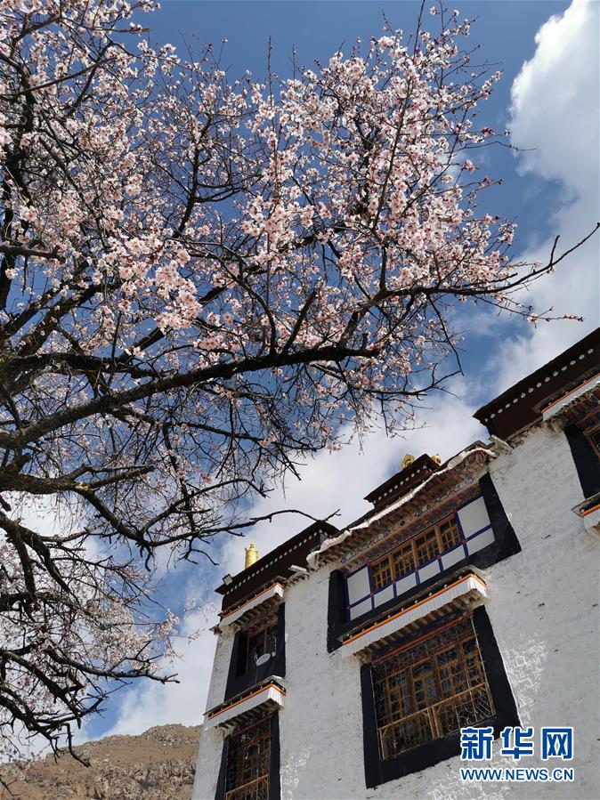 图片默认标题_fororder_66