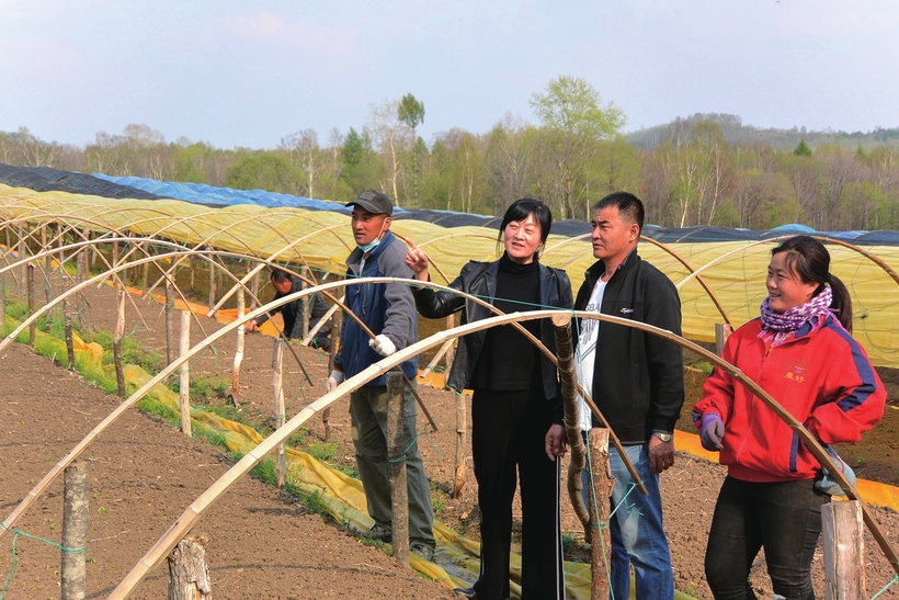 執“綠色”巨筆 繪生態畫卷——白山市建設中國綠色有機谷·長白山森林食藥城素描